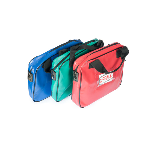 B1 300 x 250 x 50mm Carry Bag